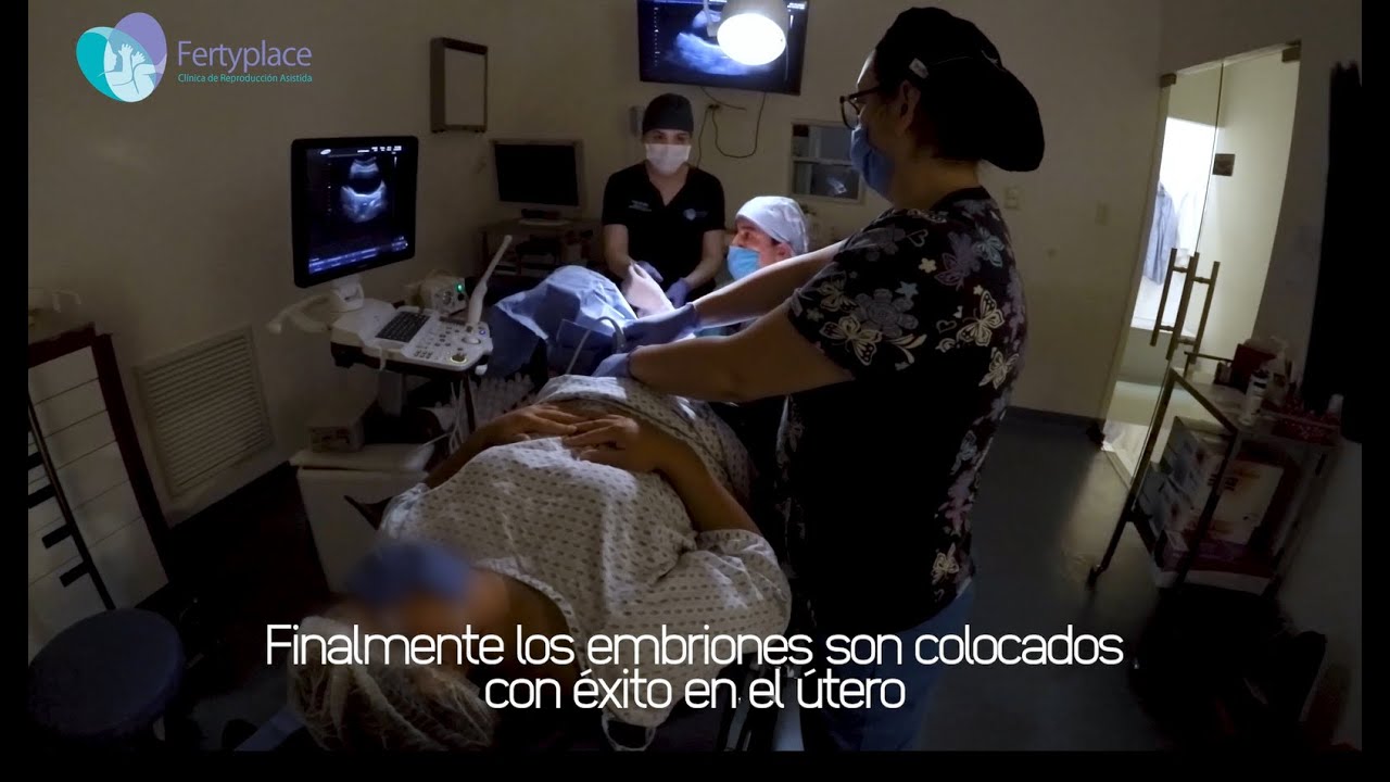 TRANSFERENCIA EMBRIONARIA | Fertyplace
