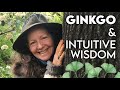 Ginkgo  intuitive wisdom  robin rose bennett