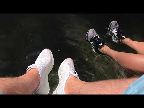 Rob's wet Nike Racers