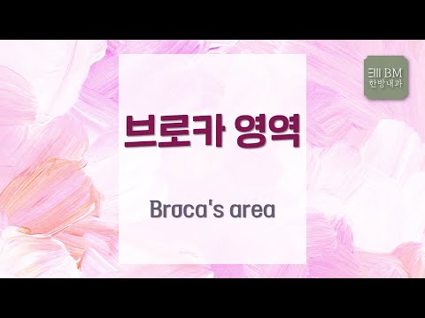 [제294회][2021.11.19] 브로카 영역 Broca’s area