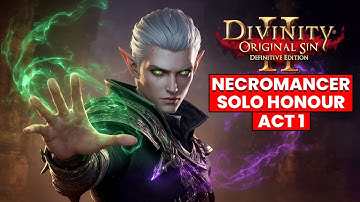 Divinity Original Sin 2 Necromancer Solo Honour ACT 1 OP Build (DOS 2 FULL GAME)