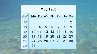 May 1965 Calendar