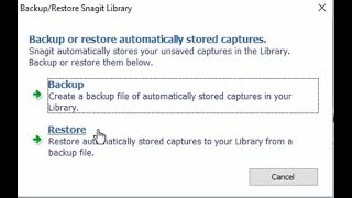 How Backup And Restore Snagit Editor Library Files To Your Library On Your Or Other Computter.