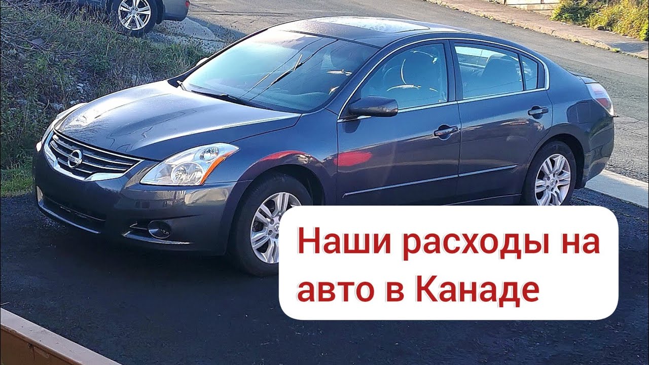 Барс авто мед
