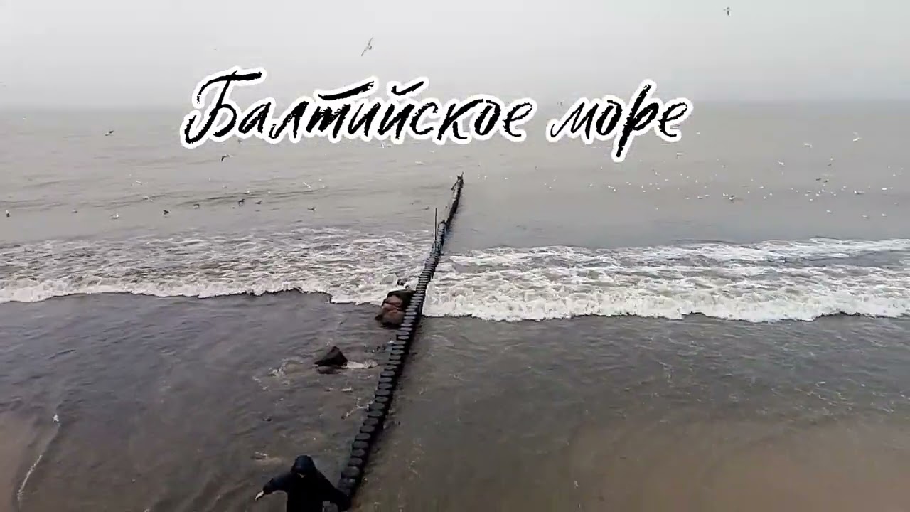 День в Зеленоградске. Видео за четверг.