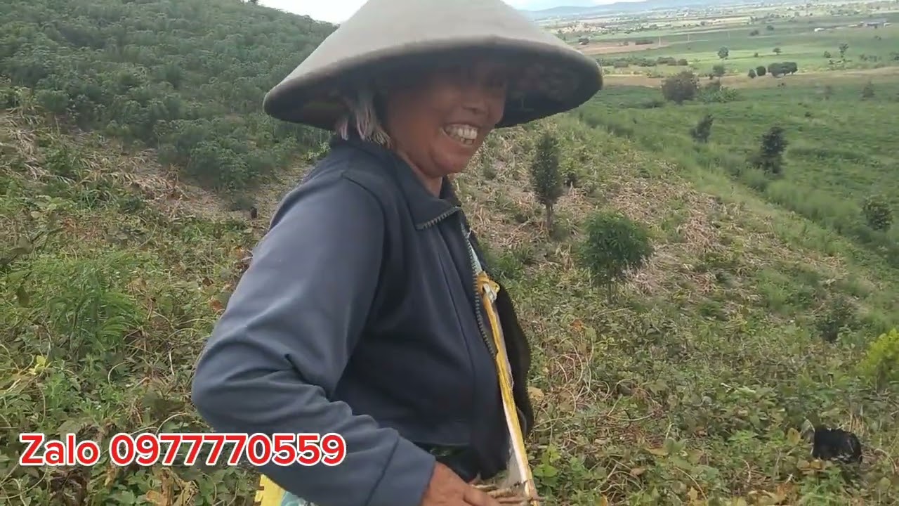 Hơn 2ha đất giá 80tr . Rất hợp cho những người tài chính ít. Lập nghiệp và đầu tư 