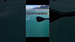 Mythical creatures, real photos 😮 #mythicalcreatures