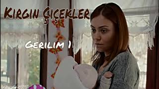 Kırgın Çiçekler - Gerilim 1 Resimi