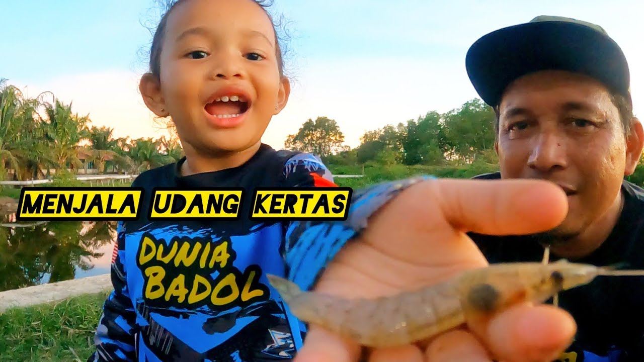 Menjala Ikan Dan Udang #gengdunia