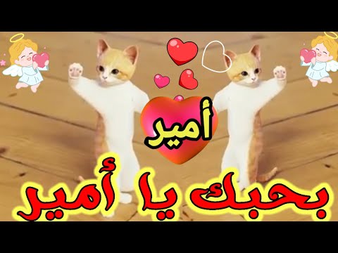 اغنية باسم امير بحبك يا امير اغنية امير السعودية الكويت ابوظبي تركيا العراق الجزائر الرياض دبي جده