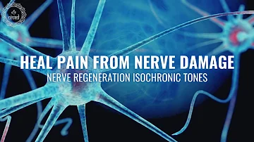 Chronic Nerve Pain Relief | Nerve Regeneration Isochronic Tones | Heal Pain from Nerve Damage-528Hz