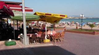 Altinkum 2008