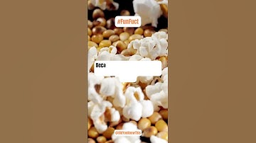 🍿 Why Does Popcorn Pop? | Fun Fact Explained! 🍿