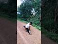 SPLIT Your Legs Wide Open!