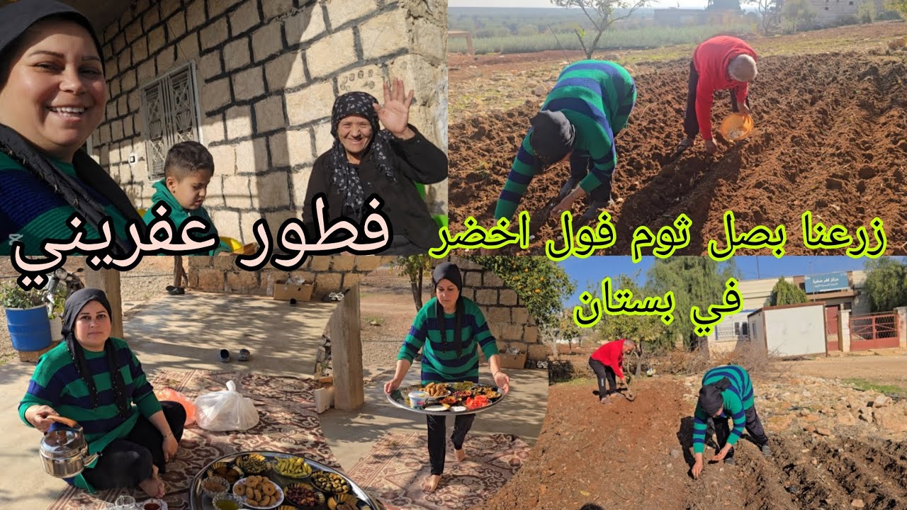 فلوق صباحي وزرعنا بصل وثوم وفول اخضر في بستان البيت يوم جميل جدا قضيناه#قناه_ام_رودي #اكسبلور 