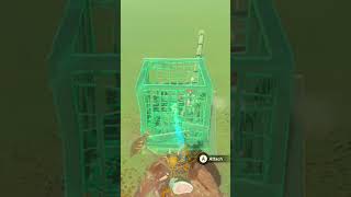 Building a BOKO CATAPULT in Tears of the Kingdom!
