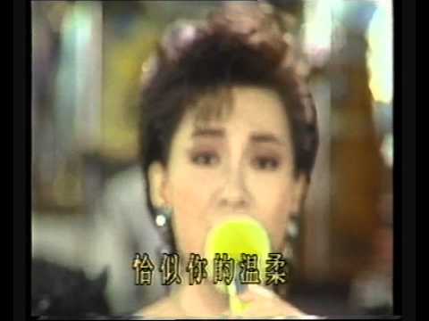 森森 - 恰似你的溫柔.wmv