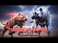 البيتبول ضد الكانجال صراع الوحوش الذي لا يرحم من سيسقط أولا