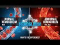 Heamoglobin क्या है 🤔| function (कार्य) Types कमी,Normal range| एक ही वीडियो में| आसान भाषा में