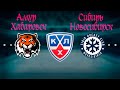 КХЛ Мод NHL 09, Состав 20-21, Первая игра за Амур.