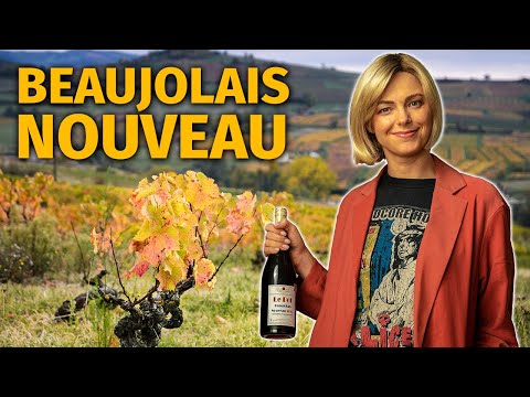 The Guide to BEAUJOLAIS NOUVEAU Wine