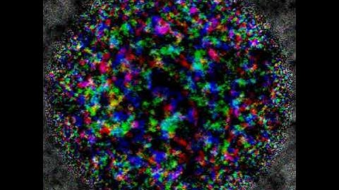 Experimental MNCA Compilation - Slackermanz