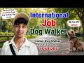 International Job | Dog Walker | Indian Dog Walker First Time On YOUTUBE
