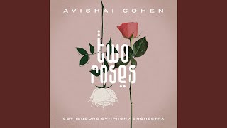 Video thumbnail of "Avishai Cohen - Song for My Brother"