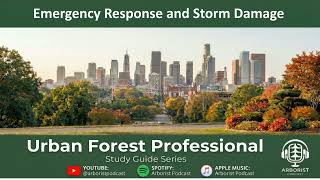 Storm Damage & Emergency Tree Response: Triage, Safety, and Recovery (Ep.54) #StormDamage #Arborist