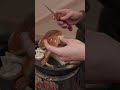 Picked and cooked mushrooms in the woods, Solo Bushcraft