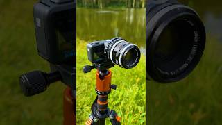 Macro Nature Video with the GoPro MISSION 1 PRO ILS #gopro