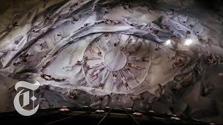 Dancers at Their Feet: New York City Ballet's Installation Art | The New York Times
