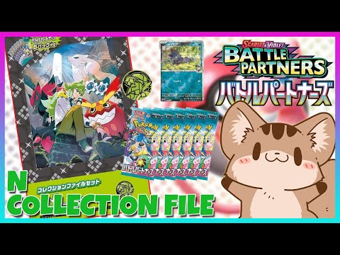 N SPECIAL Collection File Battle Partners