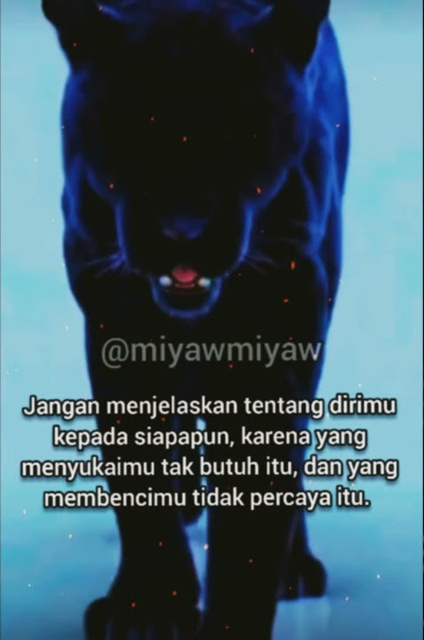 story wa macan kumbang. wejangan