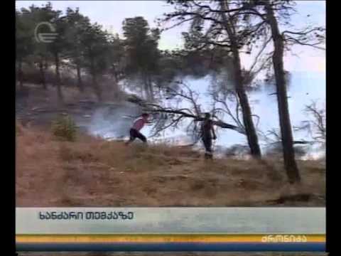 ძლიერი ხანძარია თბილისის ზღვის მიმდებარე ტერიტორიაზე - კადრები „ქრონიკის“ პირდაპირ ეთერში