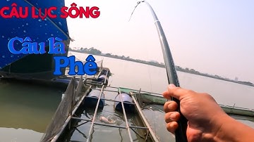 "Trải Nghiệm Câu Cá Lưỡi Lục đầu cần Tại Lồng Bè: Chiến Lợi Phẩm Bất Ngờ!" 🎣