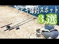 【行ったら釣れるスポット３選】サビキ釣り【愛知】　　　↓↓↓概要欄チェック↓↓↓