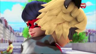 Ladybug lucky Chatnoir : Pusni Go Pak AMW