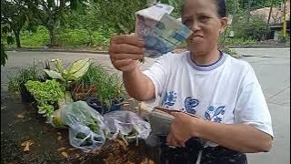 ideusaha//aktifitas bakul sayur saat dipangkalan