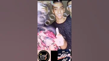 مسلم لايف بيغني من امتى كان الاسد عامل حساب لرعاع وهضرب عيار ع الجسد روعه 