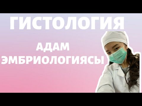 ГИСТОЛОГИЯ. АДАМ ЭМБРИОЛОГИЯСЫ.