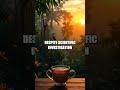 The Unsolved Mystery of the Santo Daime Tea Effects