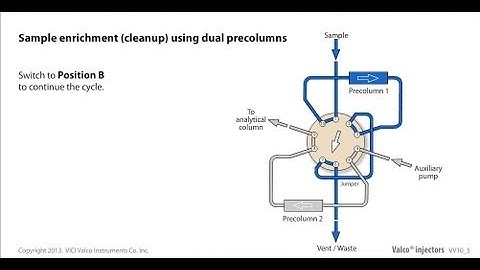 Valco sample enrichment using dual precolumns