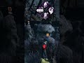 I'm a bush #Escfromme on #Twitch #gaming #dbd #deadbydaylight #bushtec | #escfromme on #Twitch