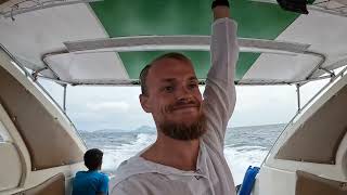 We Found Baby Sharks and Sea Snakes in Phi Phi & Maya Bay