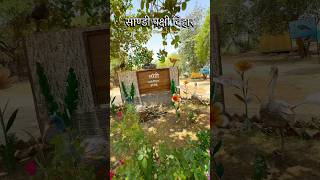Sandi pacchi vigar, #hardoi