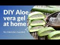 Smoothest aloe vera gel ever|DIY aloe vera gel at home