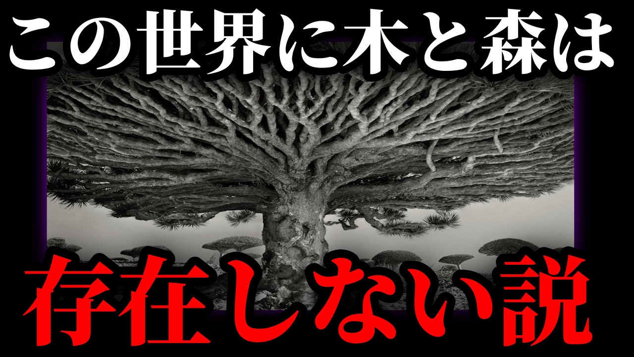 【陰謀論】歴史はすべて書き換えられている。かつてこの地球には巨大樹などの壮大な生命が存在していた。【There Are No Forests on Earth】