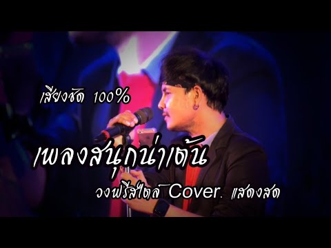 แสดงสดเพลงสนุกน่าเต้น,ซาวด์แน่นๆ : วงฟรีสไตล์ Cover. แสดงสด