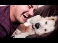 I'm Trying with My Nose to Touch the Nose of My Funny Golden Retriever [Challenge]